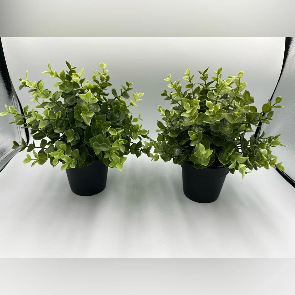 IKEA - FEJKA - 103.751.59 - Set of 2